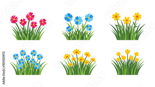 Six colorful flower arrangements with green grass, showcasing various bloom colors and styles.