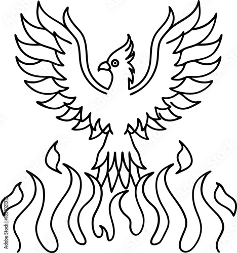 Fiery phoenix rising from flames, mythical rebirth and resurrection bird line art illustration