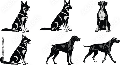 Collection of stylized dog illustrations featuring German Shepherd, Boxer, and Pointer breeds in various sitting and walking poses. Vector set.