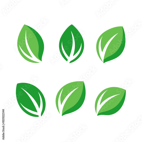 Leaf icons set ecology nature element, green leafs, environment and nature eco sign. Leaves on white background – vector.icon