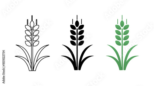 Wheat ear icon set: outline, solid black, and green variations for agriculture and food design