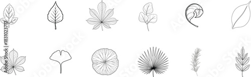 Collection of decorative ornaments and dividers in black ink vintage style isolated on transparent background