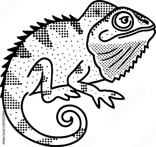 Chameleon lizard illustration detailed reptile drawing with curled tail, textured skin and stipple shading