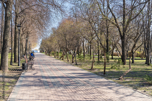Straight park alley with bare trees and benches under a clear sky. Shadows from branches fall on the pavement in early spring.