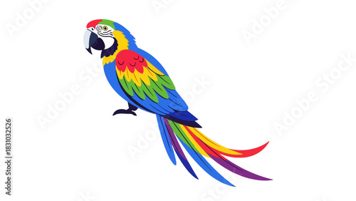 A colorful macaw parrot on a white background