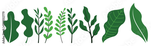 Flat Doodle Tropical Leaves and Foliage Set Vector Plant Elements Illustration