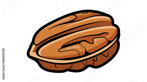 A brown pecan on a white background