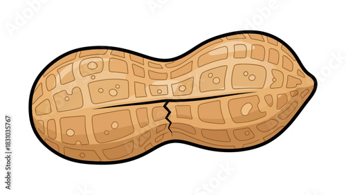 A cracked peanut shell with a dark outline and textured surface