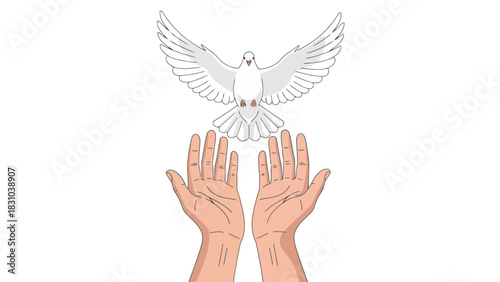 White dove flying above two open hands on white background