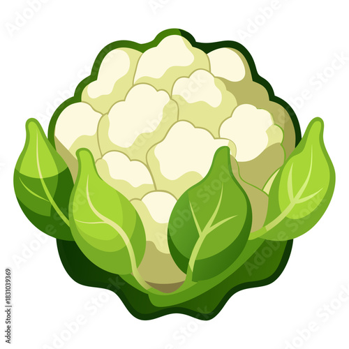 Fresh cauliflower head with vibrant green leaves, a simple clean illustration perfect for healthy eating campaigns, grocery store promotions, or vegetarian recipe blogs, originally a vector graphic