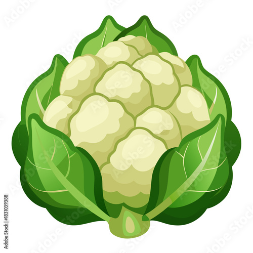 Fresh cauliflower with vibrant green leaves, a healthy and delicious vegetable that's perfect for vegetarian meals and nutritious recipes, ideal for promoting wellness