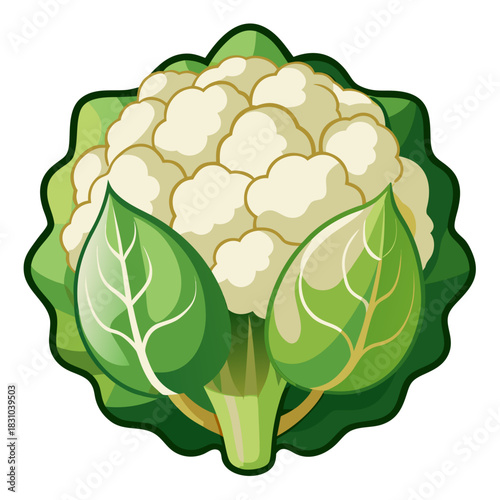Crisp cauliflower head with fresh green leaves, a vibrant food illustration originally created as vector art, perfect for healthy eating promotions and culinary designs