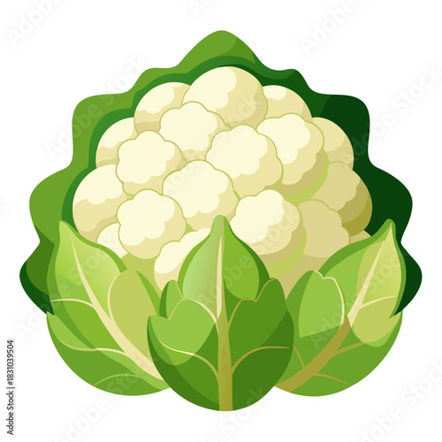 Fresh cauliflower with vibrant green leaves, a healthy and delicious vegetable choice for culinary creations and nutritional lifestyles, perfect for food blogs and healthy eating guides