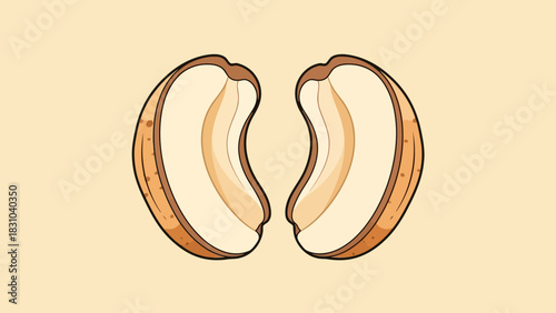 Two cartoon cashews halves facing each other