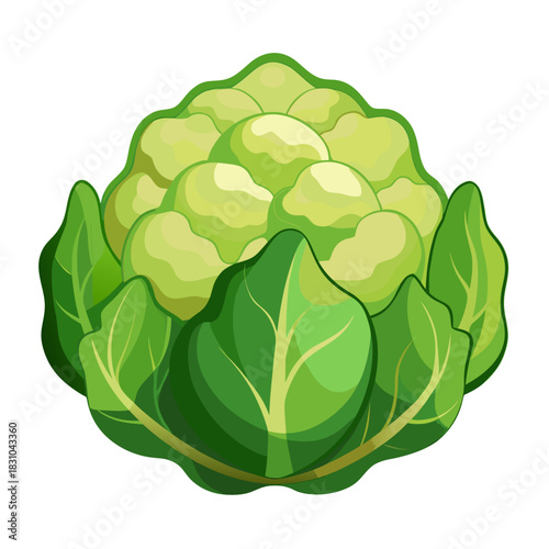 Fresh cauliflower head with vibrant green leaves, perfect for healthy eating promotions, farm-to-table concepts, and organic food campaigns, bringing a touch of nature and freshness