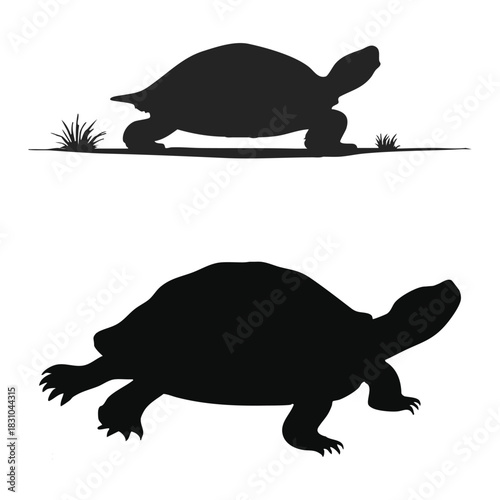 Peaceful turtle silhouette crawling slowly on white smooth surface