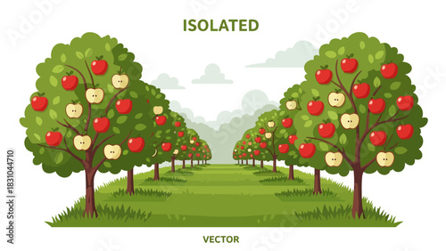 Orchard with apple trees and a path