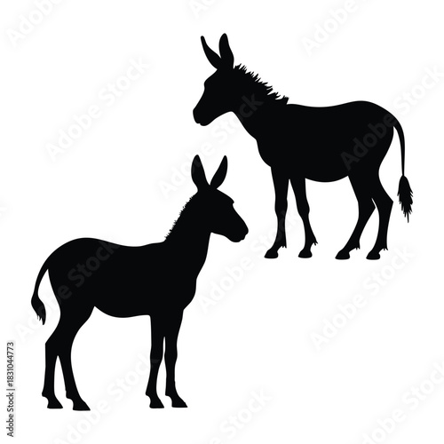 Calm donkey silhouette standing still within clean white background