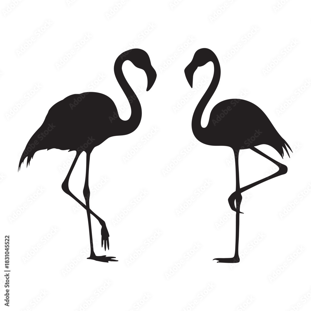 Obraz premium Graceful flamingo silhouette balancing elegantly on simple white isolated surface