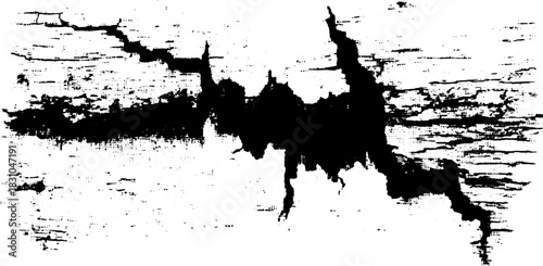 Antique engraving and print set in silhouette style. This vector illustration features a detailed line drawing with a vintage texture.