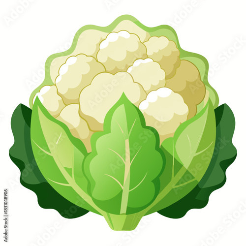 Cartoon Cauliflower Illustration