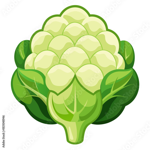 Fresh cauliflower with vibrant green leaves, a healthy choice for food lovers, use in recipes, nutrition guides, or promoting a balanced diet, originally a scalable graphic