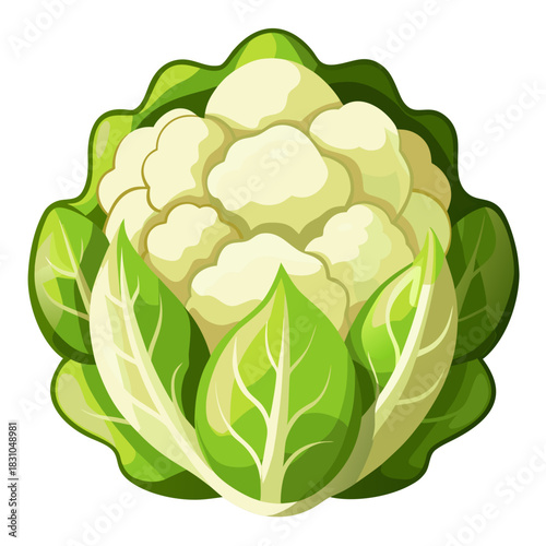 Fresh cauliflower with vibrant green leaves, a healthy and organic vegetable, perfect for culinary designs, nutritional content, and representing farm-to-table freshness in your projects