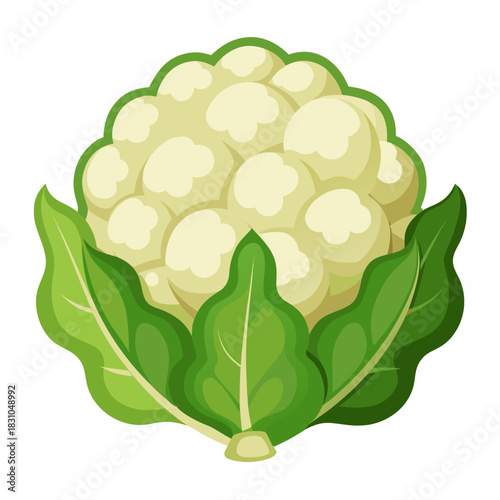 Fresh cauliflower head with vibrant green leaves, perfect for healthy recipes and culinary creations, a delightful vegetable harvest for farm-to-table designs