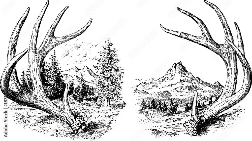 Naklejka premium Antlers of a deer in a vintage illustration style. Detailed wilderness landscape with mountains and trees in black and white vector illustration.