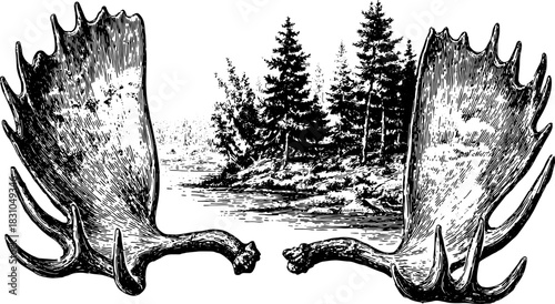 Vintage moose antlers vector illustration in black and white. Detailed graphic with trees and landscape background, suitable for artwork set.