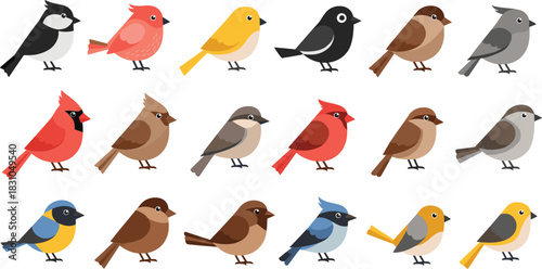 Cute garden bird illustration set featuring colorful small songbirds, forest wildlife species, and adorable perched avian characters in flat vector style