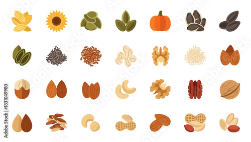 Assorted nuts and seeds arranged in a grid pattern