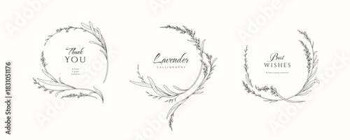 Set of lavender calligraphic wreath and design elements, floral and graceful branches. Wedding wildflowers for invitation save the date card. Botanical feminine rustic vector illustration