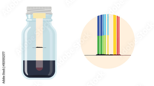 Chromatography experiment in a jar with separated colors