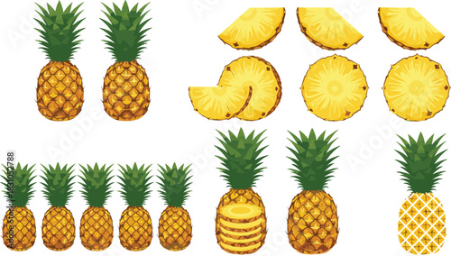 Pineapple fruit vector set showing whole, sliced, and cross section pineapples for tropical food design, packaging, menu, healthy nutrition, and summer graphics