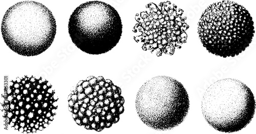 Set of black and white spheres featuring diverse textures and patterns. Simple vector illustration showcasing unique round shapes.