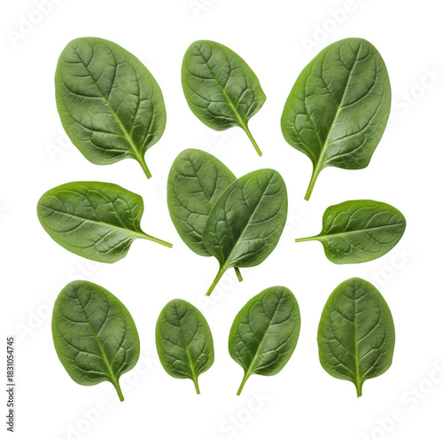 Fresh spinach leaves arrangement kitchen food bright top-down isolated on transparent background