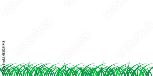 Green Grass Border  Simple White Background Design