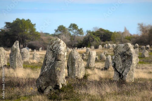 Menhirs in Carnac