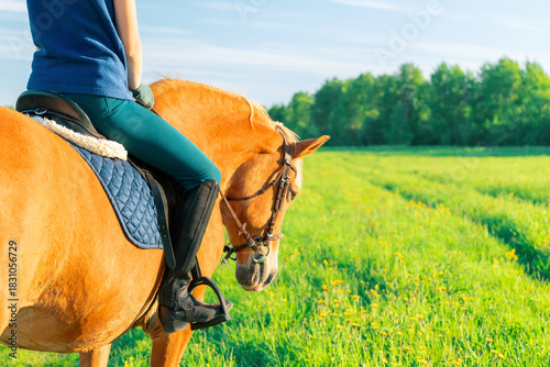 Old horse with young rider of 14 years old upon its back is standing in the meadow at sunset, back view. Draft horse standing with its lowered head near a track through the grass