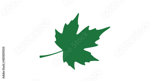 Vibrant Green Maple Leaf Silhouette Graphic on Pristine White Background Nature Symbol Design