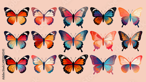 This vibrant illustration displays a collection of diverse, colorful butterflies with intricate wing patterns, capturing the delicate beauty and variety of these insects.