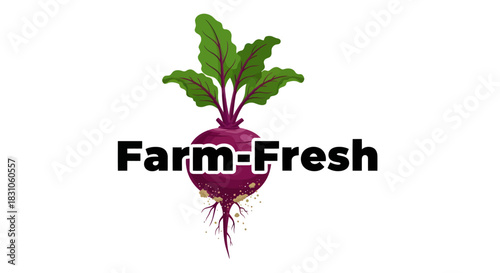 Farm-fresh organic beetroot graphic with vibrant green leaves and roots showcasing healthy