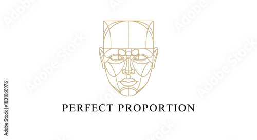 Golden Proportional Human Face Line Art Geometry Ideal Beauty Design Concept