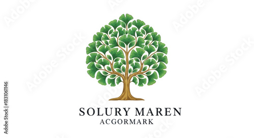 Vibrant ginkgo tree illustration symbolizing natural growth and eco-friendly wellness concepts