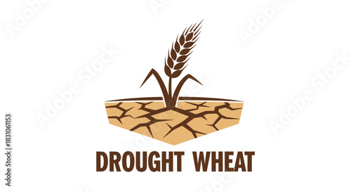 Drought Stricken Wheat Plant in Dry Cracked Earth Symbolizing Agricultural Crisis