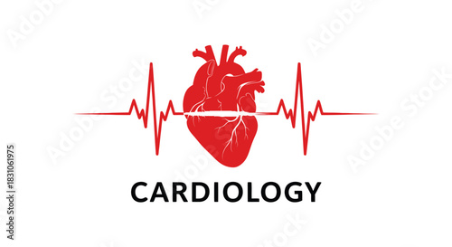 Anatomical Human Heart and ECG Waveform Medical Vector Illustration for Cardiology and Health