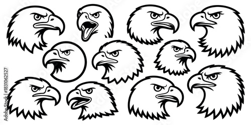 A collection of eleven black and white eagle head drawings with various expressions