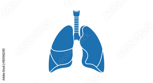 Human Lungs Anatomy Icon Blue Flat Design for Respiratory System Health and Medical Concept