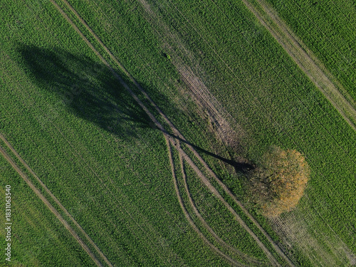 Obraz na plátně Lone tree in autumn field with pond and forest view